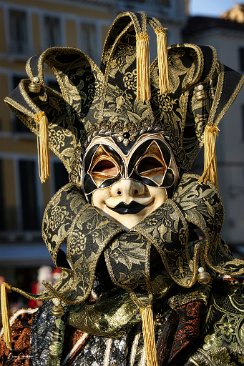 IMG_3607_exp_ort-1 null