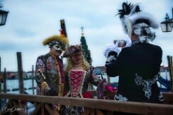 IMG_4272_lu-Duplicate00001 null